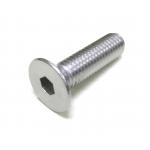 สกรูหัวจมเตเปอร์สแตนเลส