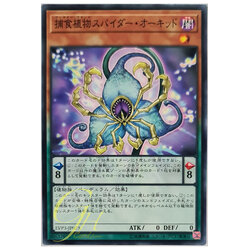 [LVP3-JP075] Predaplant Spider Orchid (Common)
