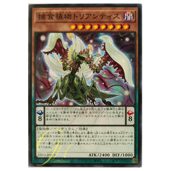[DIFO-JP019] Predaplant Triantis (Common)