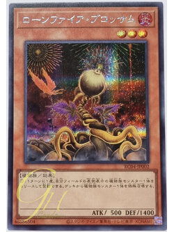 Yugioh [RC04-JP002] Lonefire Blossom (Secret Rare)
