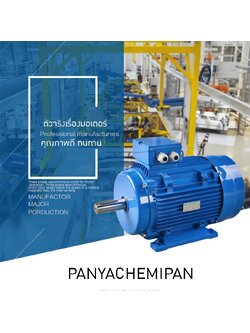 มอเตอร์ มอเตอร์ไฟฟ้า 4 pole/6 pole /8 pole 380V รุ่น MS