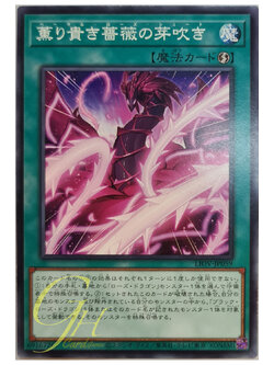 [LIOV-JP059] Basal Rose Shoot (Common)