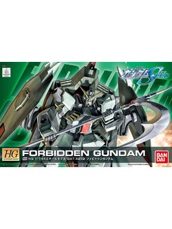 HG 1/144 R09 FORBIDDEN GUNDAM