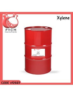🌈12667 Xylene ขนาด 200L/1DR