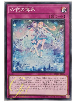 [DBSS-JP026] Rikka Sheet (Common)