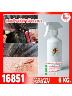 🍒16851 ชุดทำ สเปรย์ฉีดผม กำจัดเหา-6kg