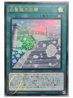 [20PP-JP011] White Rose Cloister (Ultra Rare)
