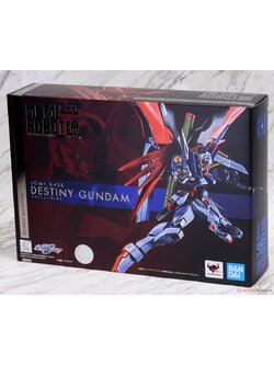 Metal Robot Spirits < Side MS > Destiny Gundam (Completed)