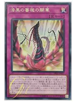 [DP21-JP027] Blooming of the Darkest Rose (Rare)