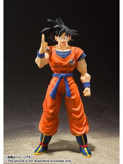 S.H.Figuarts SON GOKU -A SAIYAN RAISED ON EARTH