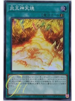 Yugioh [SR14-JP025] Fire King Sacred Immolation (Super Rare)