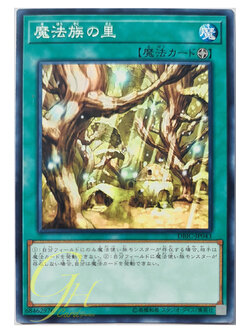 [DBIC-JP043] Secret Village of the Spellcasters (Common)