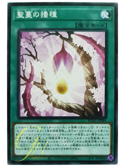 [BODE-JP065] Sunvine Sowing (Common)
