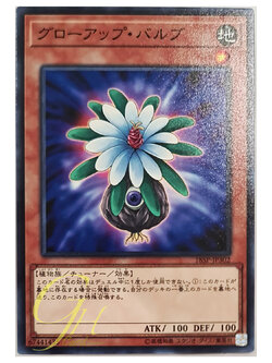 [18SP-JP302] Glow-Up Bulb (Common)