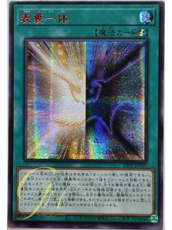 Yugioh [23PP-JP005] Duality (Secret Rare - Red Ver)