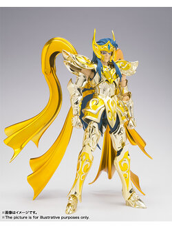 Saint Cloth Myth EX Aquarius Camus (God Cloth)