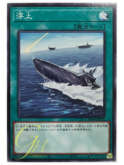 [SD40-JP032] Surface (Common)