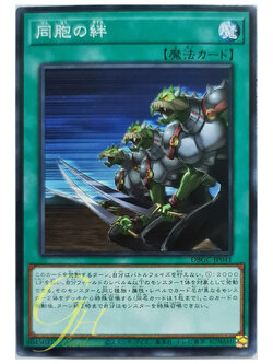 [DBGC-JP041] Ties of the Brethren (Common)