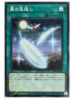 [AC01-JP016] Wing Requital (Common)