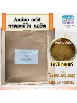 กรดอะมิโน แอซิด, Amino acid