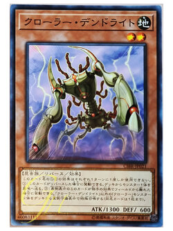 [CIBR-JP021] Krawler Dendrite (Common)