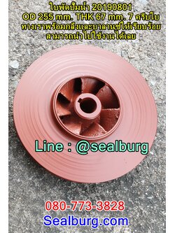ใบพัดปั๊มน้ำ 20190801 OD 255 mm. THK 67 mm.