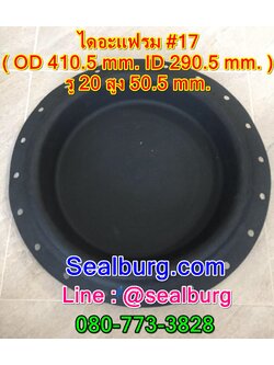 ไดอะแฟรม #17