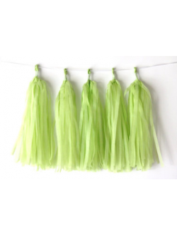 พู่กระดาษ สีเขียวมะนาว (1แพค มี 5 ชิ้น)