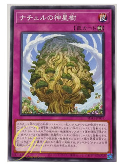 Yugioh [SD45-JP037] Naturia Sacred Tree (Common)