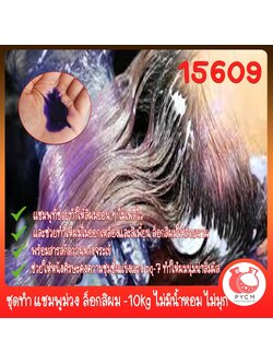 🍒15609 ชุดทำ แชมพูม่วง ล็อกสีผม -10kg ไม่มีน้ำหอม ไม่มุก purple shampoo
