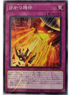 [POTE-JP070] Branded Separation (Common)