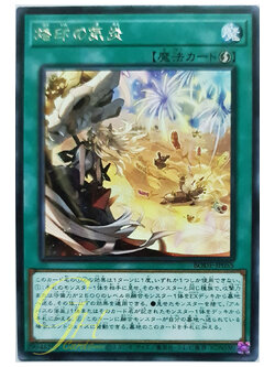 [BODE-JP055] Jubilation of the Branded (Rare)