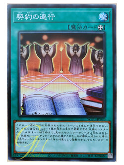 [WPP1-JP070] Execution of the Contract (Common)