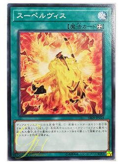 [SR09-JP024] Supervise (Common)