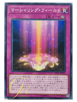 [DBIC-JP045] Marshalling Field (Common)