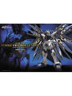 PG 1/60 STRIKE FREEDOM GUNDAM