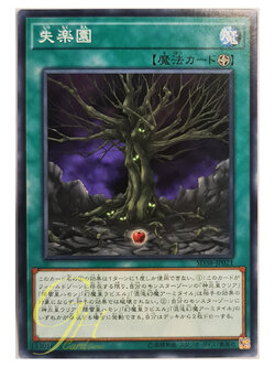 [SD38-JP021] Fallen Paradise (Common)