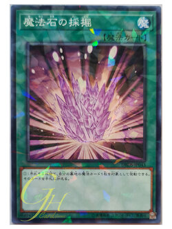 [DBDS-JP043] Magical Stone Excavation (Normal Parallel Rare)