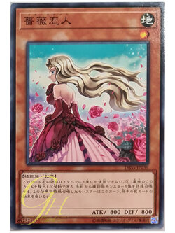 [DBSS-JP039] Rose Lover (Common)
