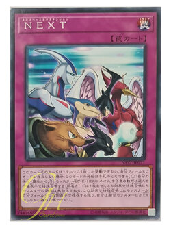 [SAST-JP071] NEXT (Common)