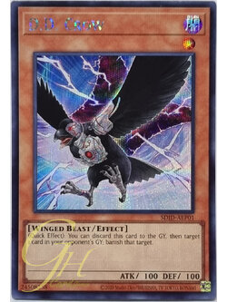 Yugioh [SDID-AEP01] D.D. Crow (Secret Rare)