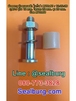 น็อตสกรู น็อตยอยสลัก ไวกิ้งส์ : M10x60 : 12-22-20