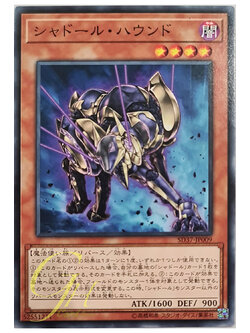 [SD37-JP009] Shaddoll Hound (Common)