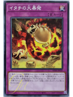[SD44-JP039] Ferret Flames (Common)
