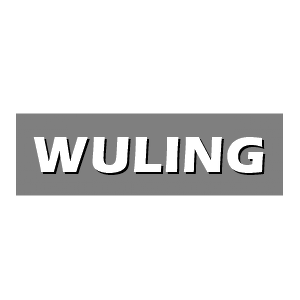 พรม6D VIP WULING