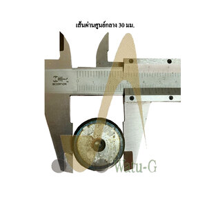 สลัก ขนาด 30 มม.