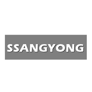 พรม6D VIP SSANGYONG