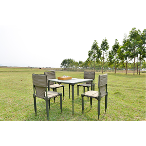 เก้าอี้สนาม