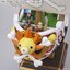 THOUSAND SUNNY LAND OF WANO VER.