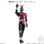 SHODO-X Kamen Rider 10